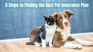 5 Steps to Finding the Best Pet Insurance Plan